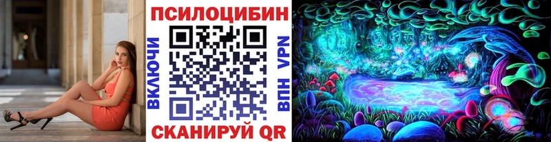 Псилоцибиновые грибы прущие грибы  Купить закладки  Нахабино 